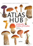 Atlas hub Atlas hub