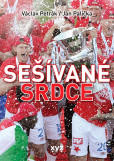 Sešívané srdce Sešívané srdce