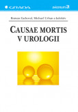 Causae mortis v urologii Causae mortis v urologii