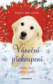 Vánoční překvapení Vánoční překvapení