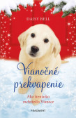 Vianočné prekvapenie Vianočné prekvapenie