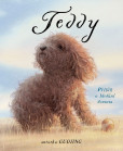 Teddy Teddy