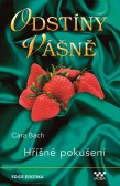 Hříšné pokušení