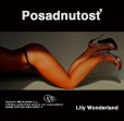 Posadnutosť