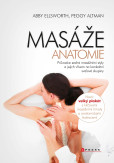Masáže - anatomie Masáže - anatomie