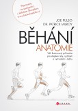 Běhání - anatomie Běhání - anatomie