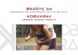 Bráňte sa! Bráňte sa!