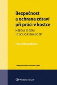 Bezpečnost a ochrana zdraví při práci v kostce Bezpečnost a ochrana zdraví při práci v kostce