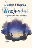 (Bez)vadní 2 – Připomeň mi naši minulost (Bez)vadní 2 – Připomeň mi naši minulost