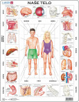 OB 1 Naše telo - slovensky