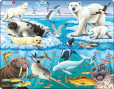 FH 11 Arktické zvieratá