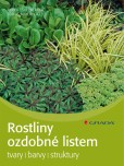 Rostliny ozdobné listem Rostliny ozdobné listem