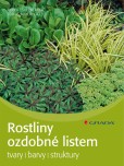 Rostliny ozdobné listem