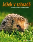 Ježek v zahradě Ježek v zahradě