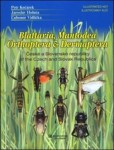 Blattaria, Mantodea, Orthoptera & Dermaptera of the Czech and Slovak Republics Blattaria, Mantodea, Orthoptera & Dermaptera of the Czech and Slovak Republics