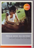 Pásla kone na betóne Pásla kone na betóne