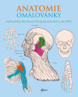 Anatomie omalovánky Anatomie omalovánky