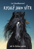 Rychlý jako vítr: Jak to všechno začalo Rychlý jako vítr: Jak to všechno začalo
