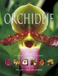 Orchideje Orchideje
