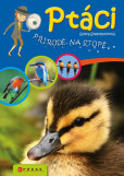 Ptáci Ptáci