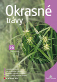 Okrasné trávy Okrasné trávy