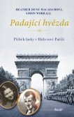Padající hvězda Padající hvězda