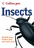 Insects Insects
