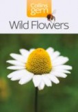 Wild Flowers Wild Flowers