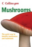 Mushrooms Mushrooms