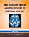 Human Brain Human Brain