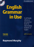 English Grammar in Use English Grammar in Use