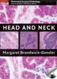 Head and Neck Head and Neck