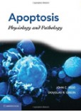 Apoptosis Apoptosis