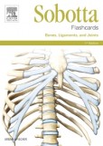 Sobotta Flashcards Bones, Ligaments and Joints Sobotta Flashcards Bones, Ligaments and Joints