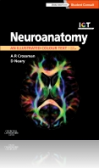 Neuroanatomy Neuroanatomy