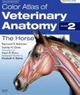 Color Atlas of Veterinary Anatomy