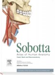 Atlas of Human Anatomy Head, Neck and Neuroanatomy