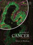 The Biology of Cancer The Biology of Cancer