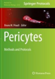 Pericytes Pericytes