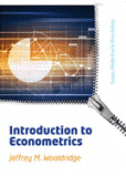 Introductory Econometrics Introductory Econometrics