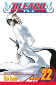 Bleach 22 Bleach 22