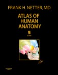 Atlas of Human Anatomy