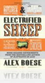 Electrified Sheep Electrified Sheep