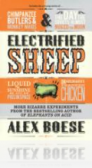 Electrified Sheep