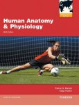 Human Anatomy & Physiology Human Anatomy & Physiology
