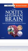 Nolte`s The Human Brain, 7th Edition