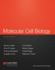 Molecular Cell Biology Molecular Cell Biology