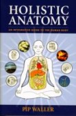 Holistic Anatomy - An Integrative Guide to the Human Body