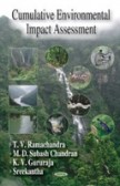Cumulative Environmental Impact Assessment Cumulative Environmental Impact Assessment