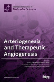 Arteriogenesis and Therapeutic Angiogenesis